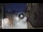 Webcam in San Cristóbal de La Laguna (Tenerife), 9.2 mi away