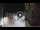 Webcam in San Cristóbal de La Laguna (Tenerife), 15.8 km