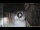 Webcam in San Cristóbal de La Laguna (Tenerife), 3.4 mi away