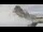 Webcam in Sella Nevea, 10.4 mi away