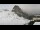 Webcam in Sella Nevea, 16.7 km entfernt