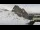 Webcam in Sella Nevea, 12.1 mi away