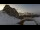 Webcam in Sella Nevea, 4.2 mi away