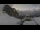 Webcam in Sella Nevea, 2 km