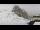 Webcam in Sella Nevea, 2 km