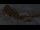 Webcam in Sella Nevea, 6.4 mi away