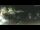 Webcam in Ascona, 0.6 km