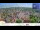 Webcam in Colditz, 42.2 km entfernt
