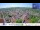 Webcam in Colditz, 34 km entfernt