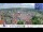 Webcam in Colditz, 19.9 km