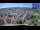 Webcam in Colditz, 42.2 km entfernt