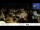 Webcam in Colditz, 27.4 km entfernt