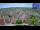 Webcam in Colditz, 19.9 km