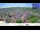 Webcam in Colditz, 19.9 km