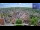 Webcam in Colditz, 18.2 km