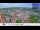 Webcam in Colditz, 22.1 km