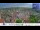 Webcam in Colditz, 16.1 km