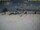 Webcam auf Kuredu Island (Lhaviyani-Atoll), 218.2 km entfernt