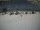 Webcam in Kuredu Island, 124.8 km