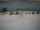 Webcam su Kuredu Island (Lhaviyani Atoll), 1503.4 km