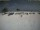 Webcam on Kuredu Island (Lhaviyani Atoll), 100.6 mi away