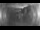Webcam auf Castaway Island, 3554.2 km entfernt