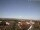Webcam in Artern, 5.3 mi away