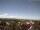 Webcam in Artern, 24.4 km entfernt