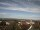 Webcam in Artern, 23.8 km entfernt
