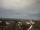 Webcam in Artern, 13.7 km entfernt