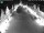 Webcam in Pfaffenhofen a. d. Ilm, 13.8 km entfernt