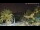 Webcam in Benissa, 14.8 km entfernt