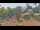 Webcam in Benissa, 12.5 km entfernt