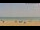 Webcam in Santa Pola, 32.3 km entfernt