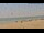 Webcam in Santa Pola, 9.1 mi away