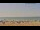 Webcam in Santa Pola, 0.7 mi away