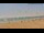 Webcam in Santa Pola, 13.5 km entfernt