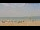 Webcam in Santa Pola, 23.8 mi away