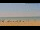 Webcam in Santa Pola, 18.7 km
