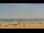 Webcam in Santa Pola, 9.1 mi away