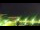 Webcam in Olivia, 45.3 km