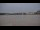 Webcam in Bordeaux, 17.2 km