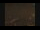 Webcam in A Coruña, 113.5 km