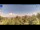 Webcam in Gorga, 5 mi away