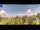 Webcam in Gorga, 15 mi away
