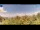 Webcam in Gorga, 38.9 km