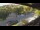 Webcam in La Crescenta, California, 1.3 mi away