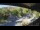 Webcam in La Crescenta, California, 3.7 mi away