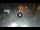 Webcam in Sarnico (Lake Iseo), 2.7 mi away