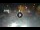 Webcam in Sarnico (Lake Iseo), 8.8 mi away